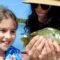fishsingtackleandreels.com